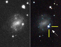 Az SN 1998bw